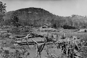 Desertion during the Civil War - New Georgia Encyclopedia