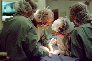 UGA College of Veterinary Medicine