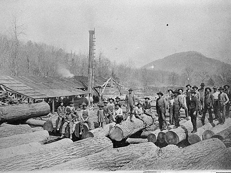 Rabun County Sawmill