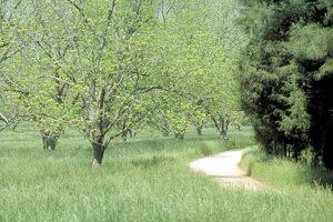 Seven Islands Nature Trail