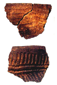 Stallings Island Site Pottery