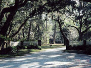 Beaulieu Plantation