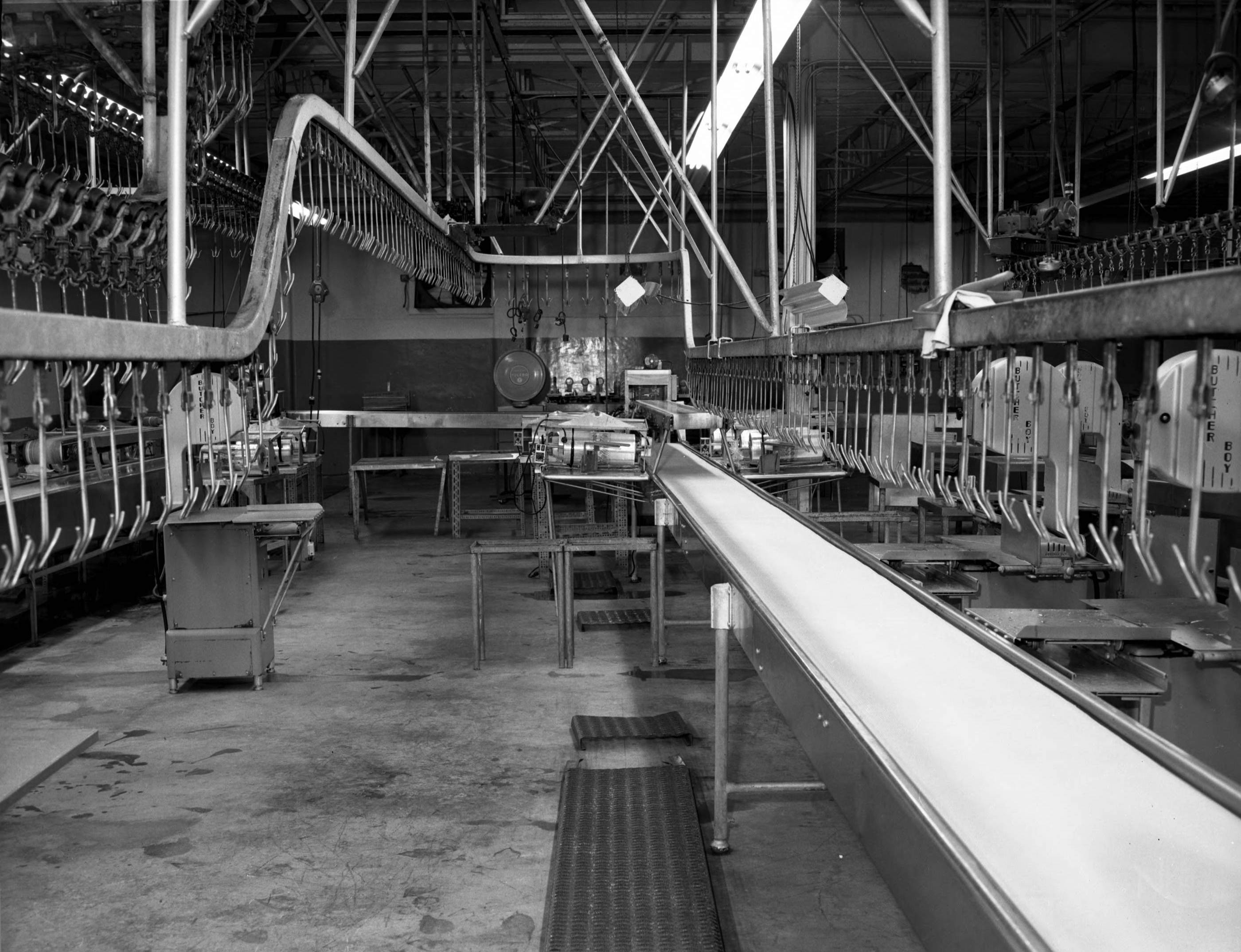 Poultry Processing Plant New Encyclopedia