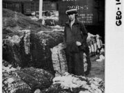 Cotton Bales